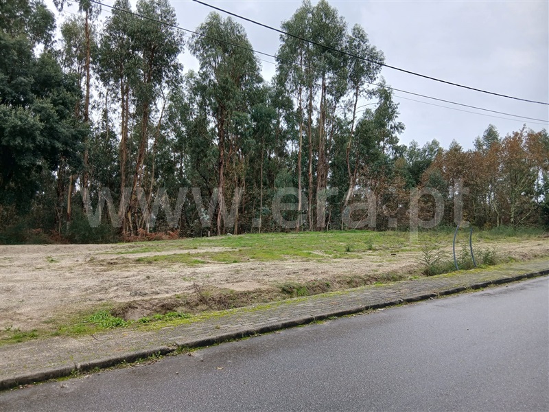 Lote / Póvoa de Lanhoso, Rendufinho