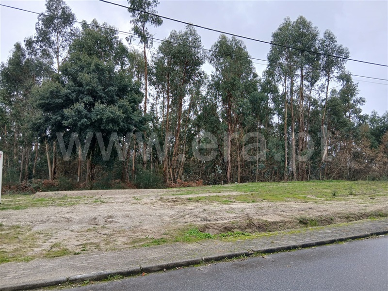 Lote / Póvoa de Lanhoso, Rendufinho