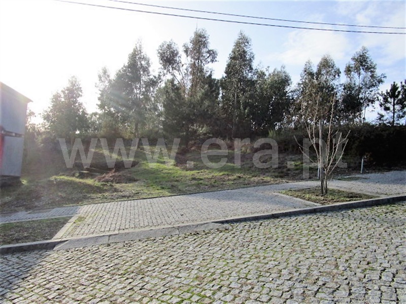 Lote  Póvoa de Lanhoso, Rendufinho - 878235 - 5