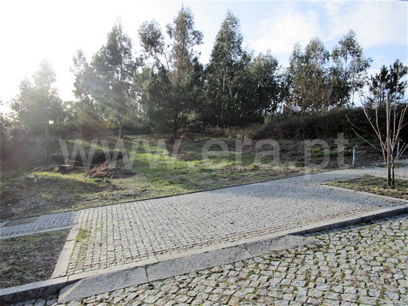 Lote  Póvoa de Lanhoso, Rendufinho - 878235 - 6