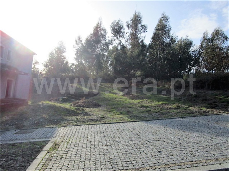Lote  Póvoa de Lanhoso, Rendufinho - 878235 - 7