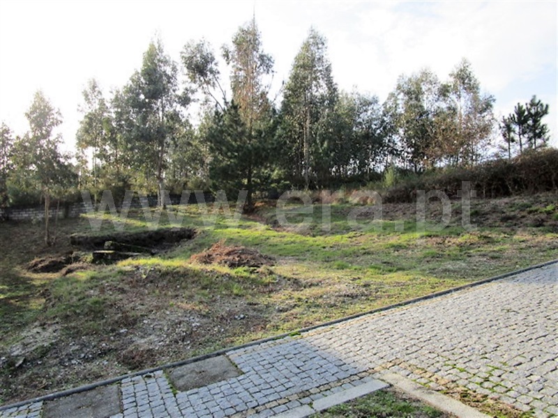 Lote / Póvoa de Lanhoso, Rendufinho