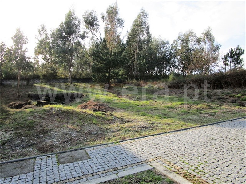 Lote  Póvoa de Lanhoso, Rendufinho - 878235 - 8