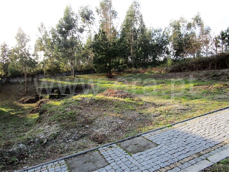 Lote  Póvoa de Lanhoso, Rendufinho - 878235 - 9
