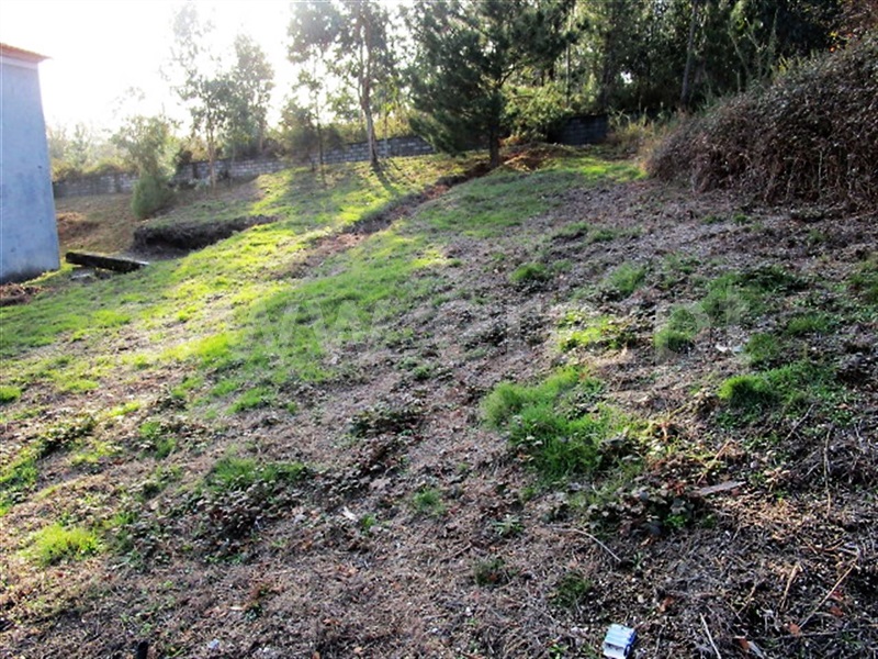 Lote  Póvoa de Lanhoso, Rendufinho - 878235 - 10