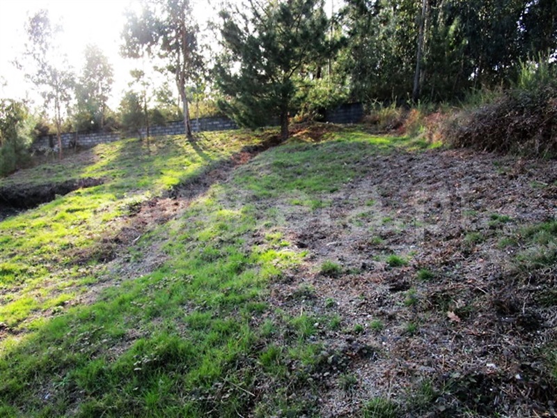 Lote  Póvoa de Lanhoso, Rendufinho - 878235 - 3