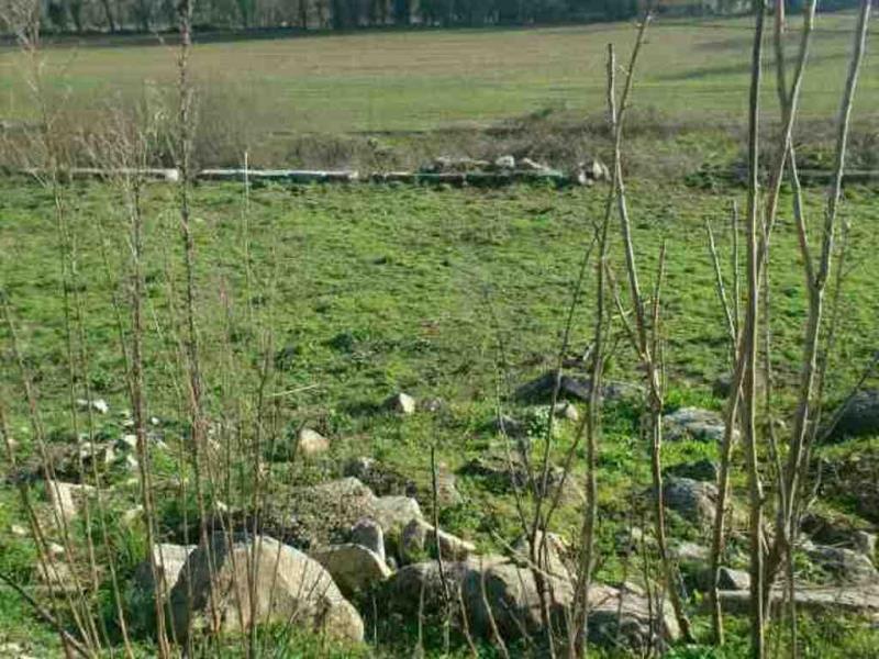 Lote  Póvoa de Lanhoso, Sto.Emilião - 66749 - 2