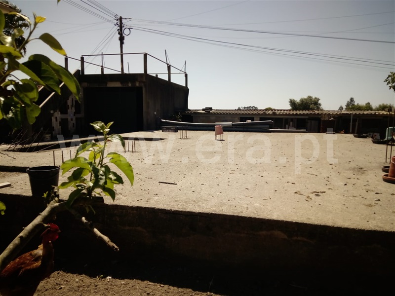 Lote  Póvoa de Varzim, Amorim - 1091710 - 2