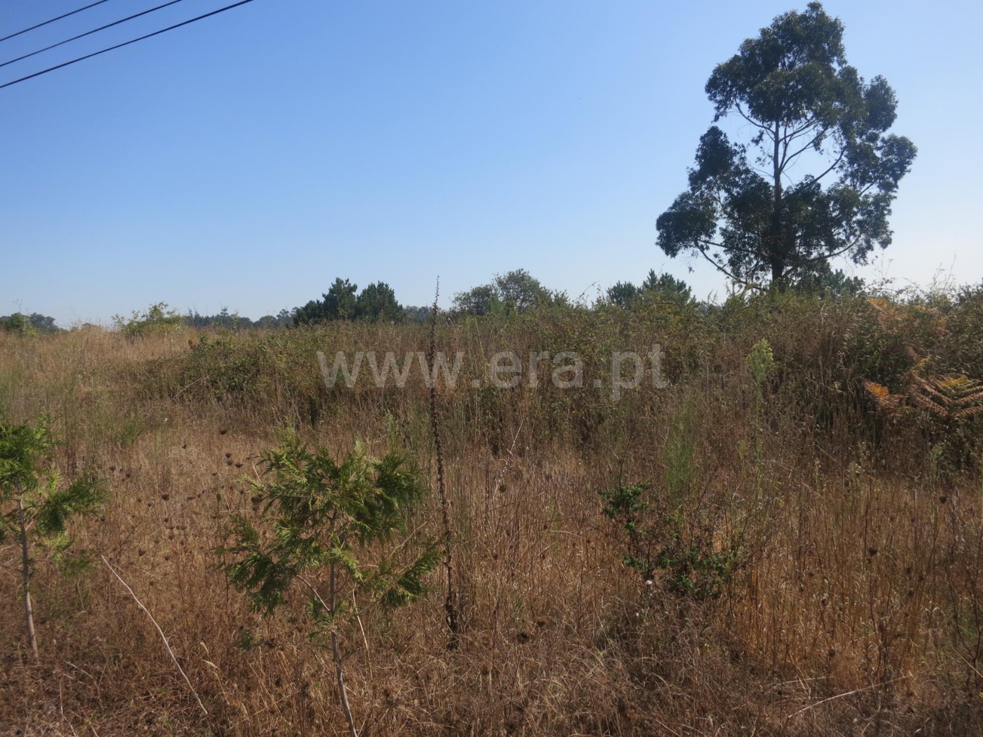 Land for sale in Póvoa de Varzim, Portugal — €6,000,000