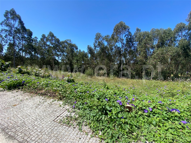 Lote  Póvoa de Varzim, Balazar - 1339819 - 1