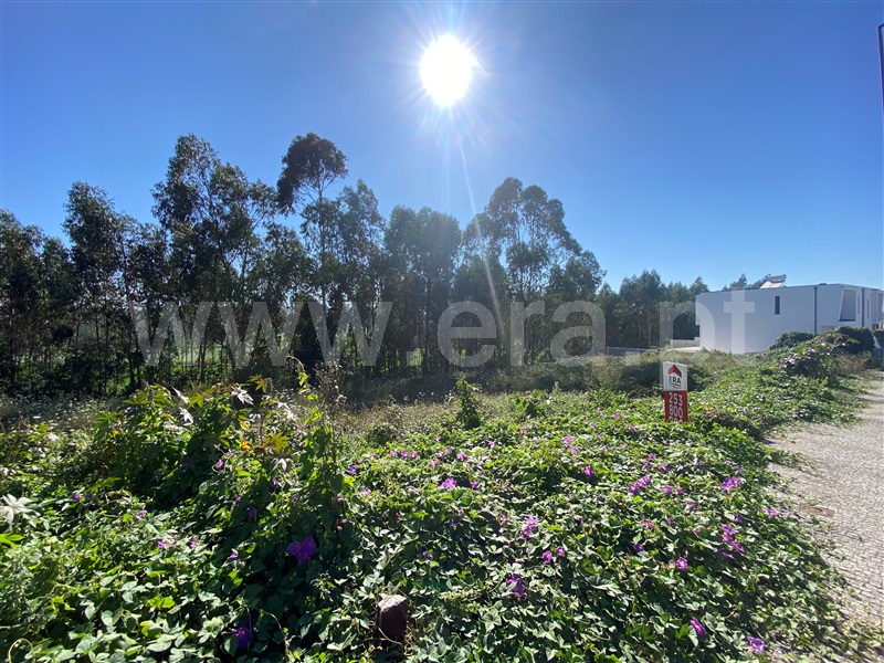 Lote  Póvoa de Varzim, Balazar - 1339819 - 3