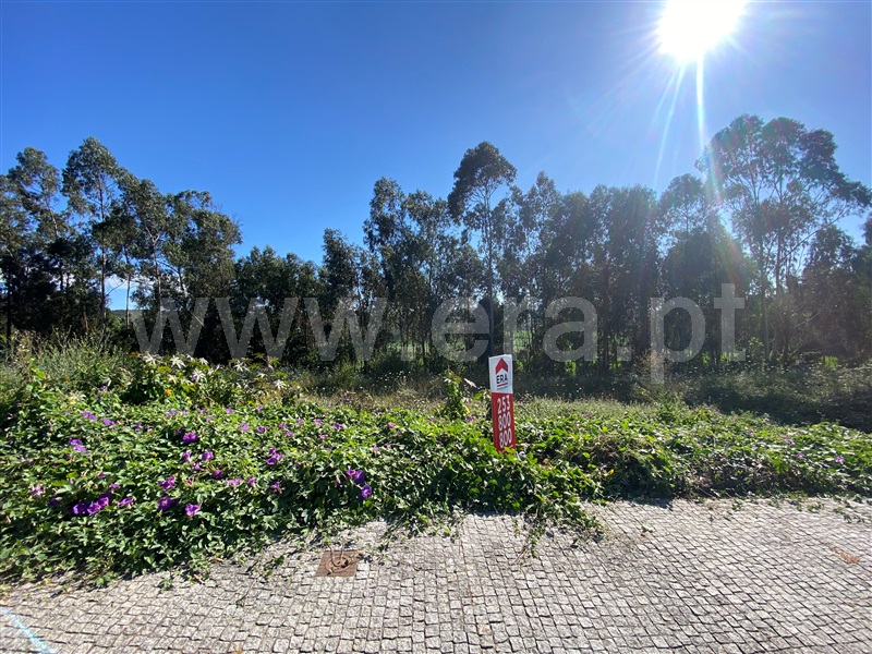 Lote  Póvoa de Varzim, Balazar - 1339819 - 4