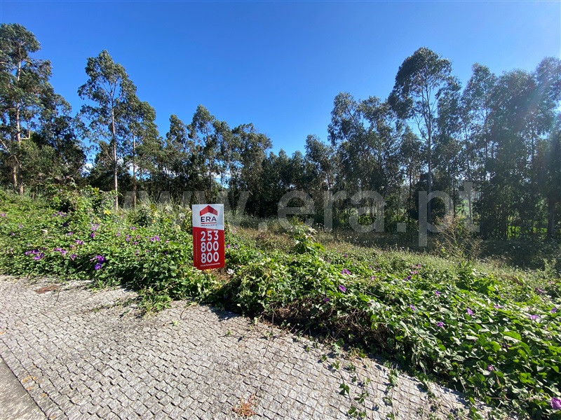 Lote / Póvoa de Varzim, Balazar