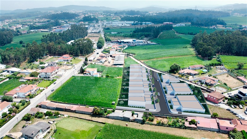 Lote / Póvoa de Varzim, Balazar