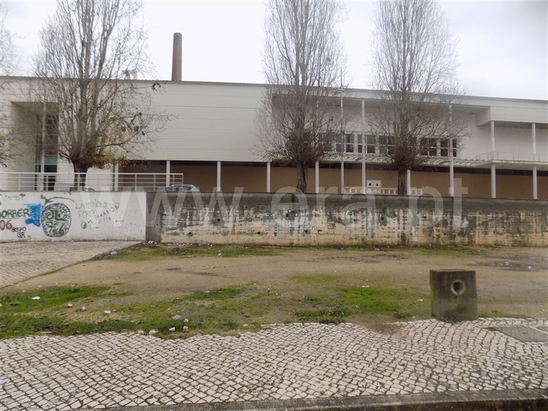 Lote  Rio Maior - 1057948 - 3
