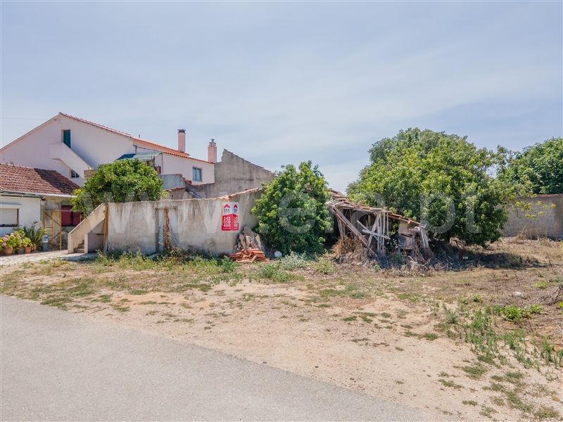 Lote  Rio Maior, Rio Maior - 1289842 - 6