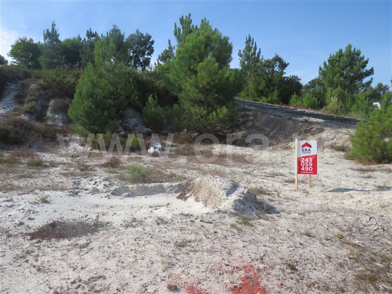 Lote  Rio Maior - 1513616 - 3