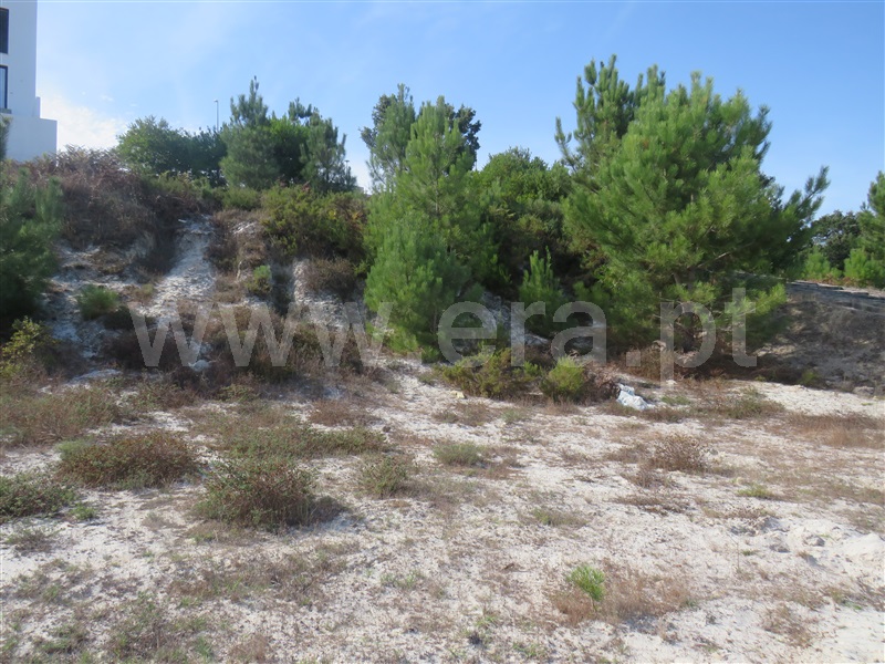 Lote  Rio Maior - 1513616 - 5