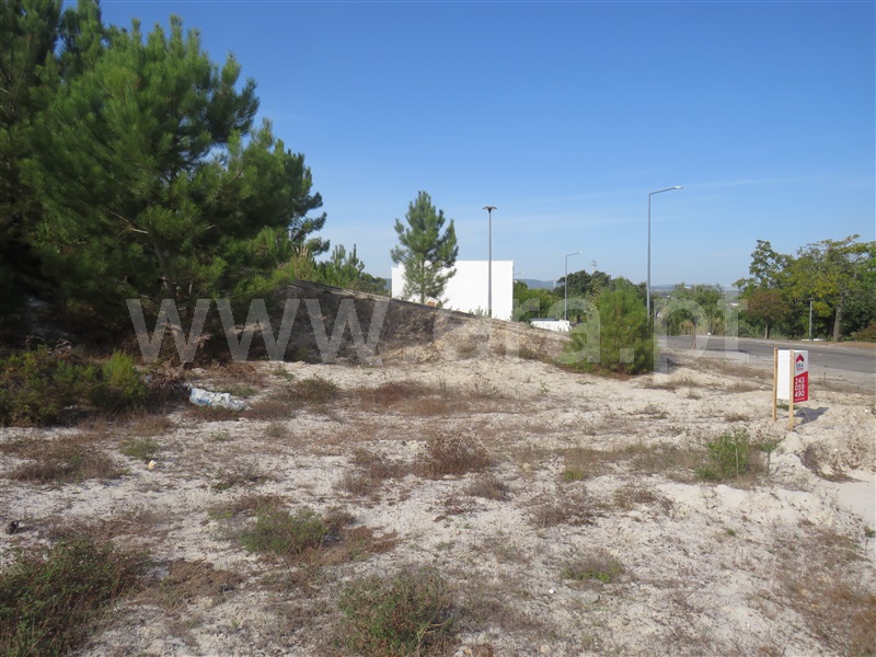 Lote  Rio Maior - 1513616 - 6