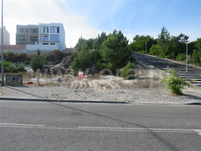 Lote  Rio Maior - 1513616 - 7