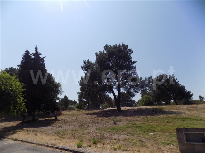 Lote / Rio Maior, Rio Maior