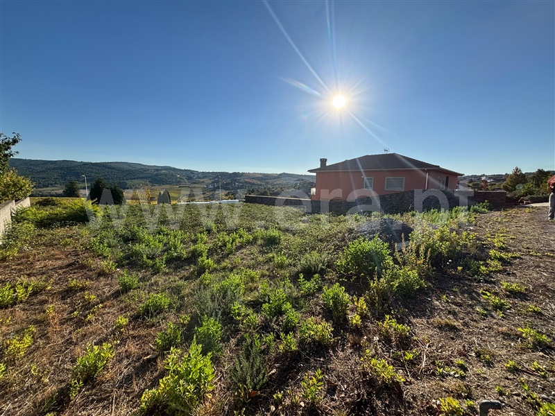 Lote / Sabrosa, Paços