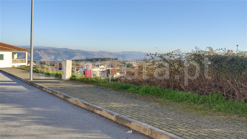 Lote / Sabrosa, Sabrosa