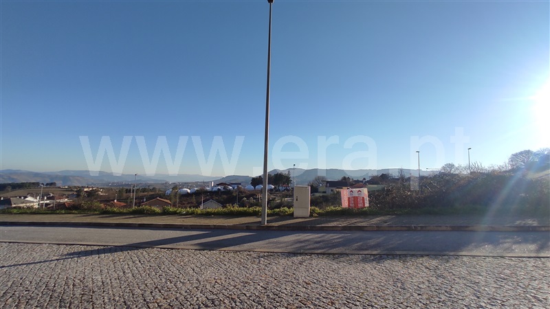 Lote  Sabrosa - 1223036 - 5