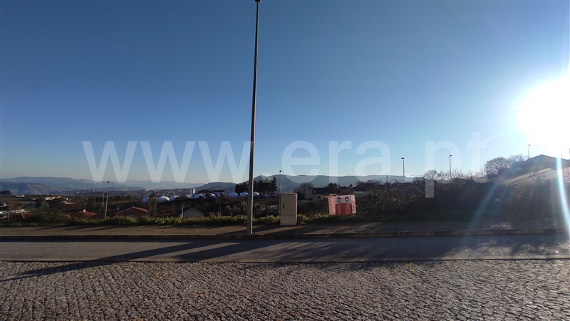 Lote  Sabrosa - 1223036 - 6