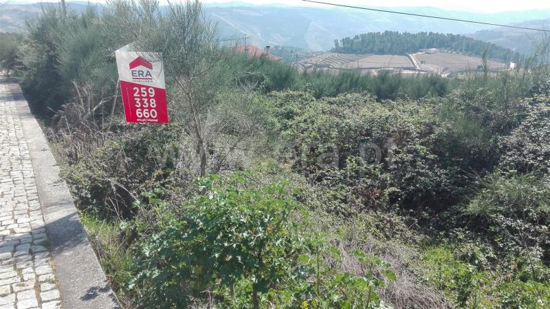 Lote / Sabrosa, Sabrosa