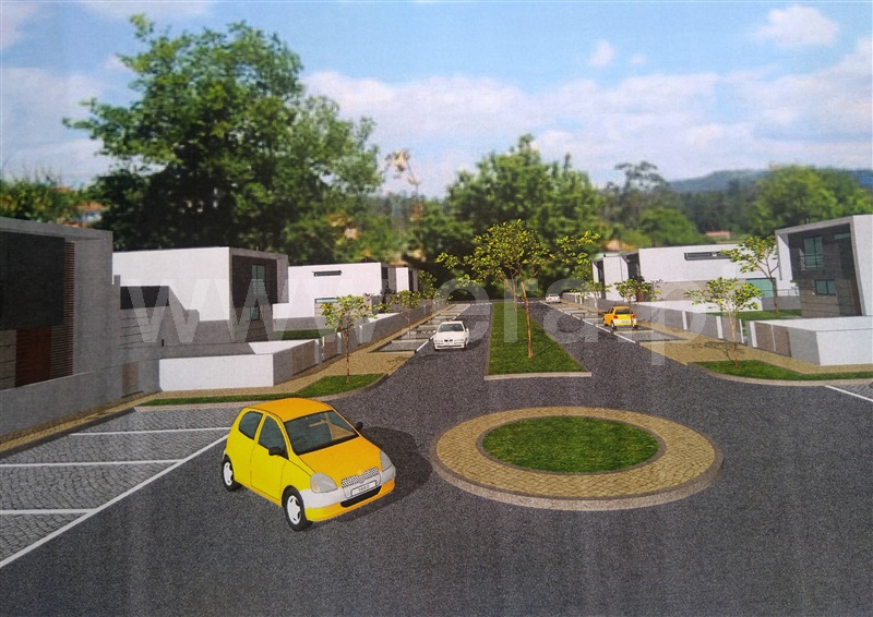 Lote / Sabrosa, São Martinho de Antas e Paradela de Guiães