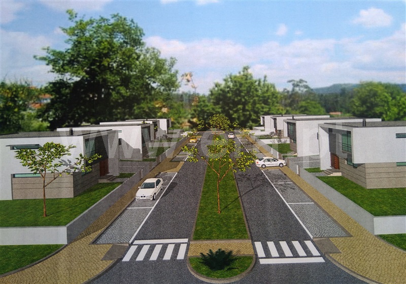 Lote / Sabrosa, São Martinho de Antas e Paradela de Guiães