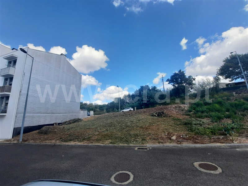 Lote  Santa Comba Dão, Santa Comba Dão e Couto do Mosteiro - 1264858 - 1
