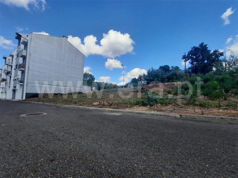 Lote  Santa Comba Dão, Santa Comba Dão e Couto do Mosteiro - 1264858 - 2