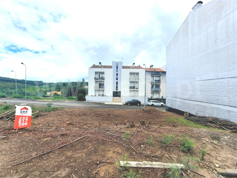 Lote  Santa Comba Dão, Santa Comba Dão e Couto do Mosteiro - 1264858 - 4