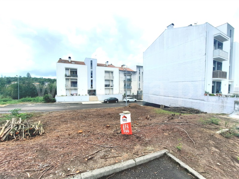 Lote / Santa Comba Dão, Santa Comba Dão e Couto do Mosteiro