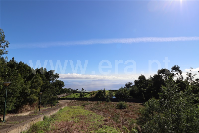 Lote / Santa Cruz, Santa Cruz