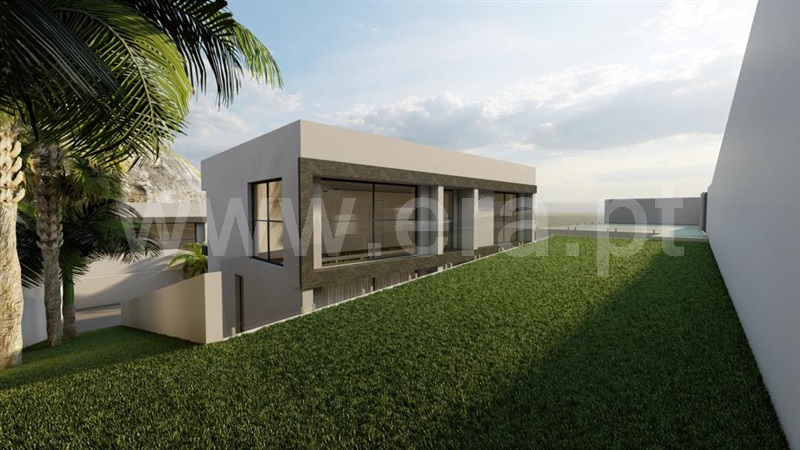 Lote / Santa Cruz, Santa Cruz