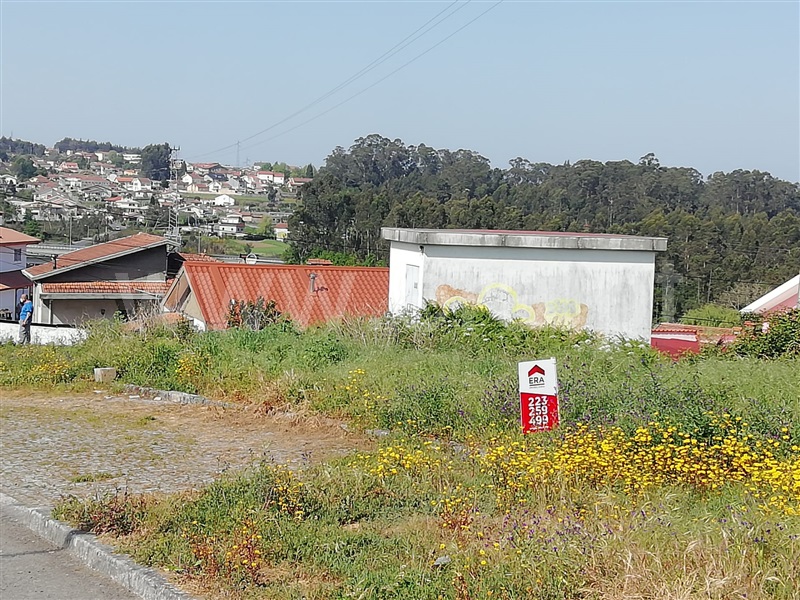 Lote / Santa Maria da Feira, Argoncilhe