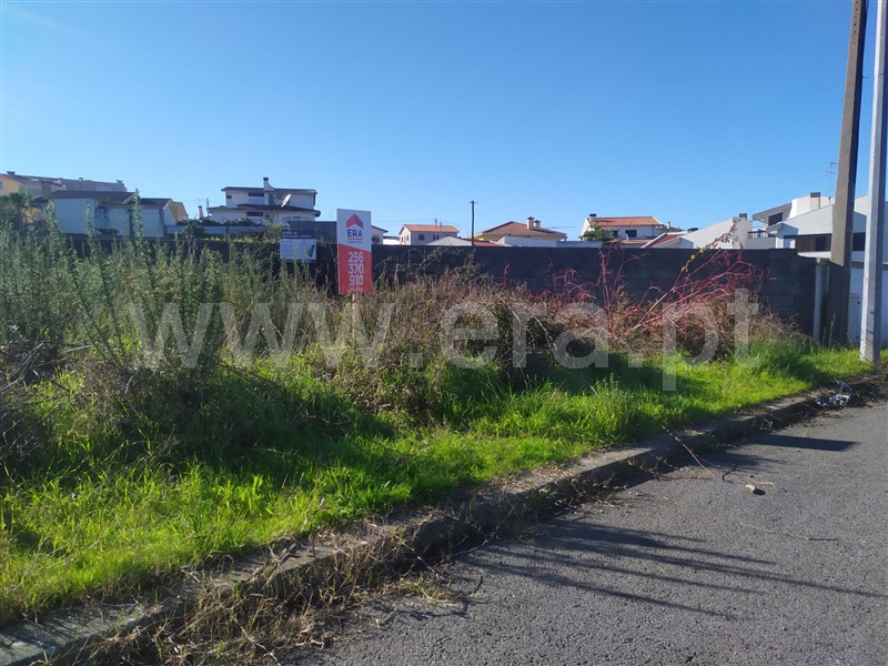 Lote / Santa Maria da Feira, Arrifana