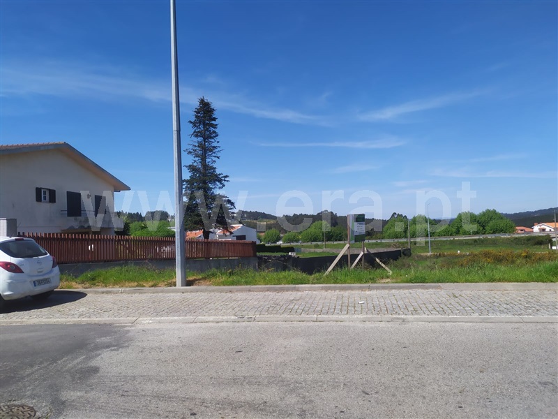 Lote / Santa Maria da Feira, Arrifana