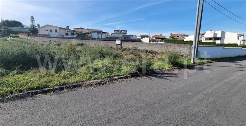 Lote / Santa Maria da Feira, Arrifana