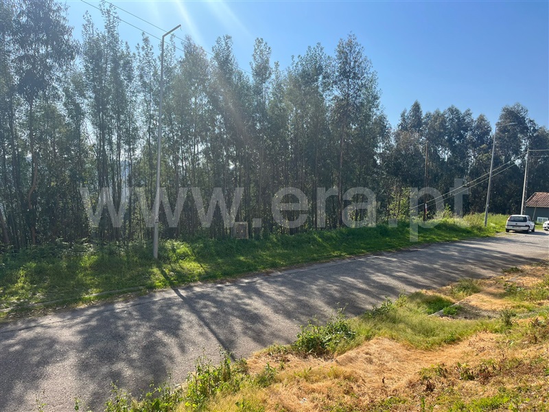 Lote / Santa Maria da Feira, Canedo, Vale e Vila Maior