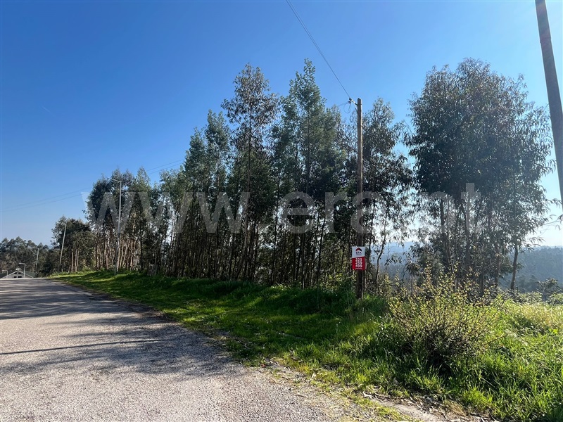 Lote / Santa Maria da Feira, Canedo, Vale e Vila Maior