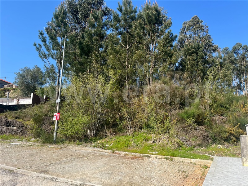 Lote / Santa Maria da Feira, Canedo, Vale e Vila Maior