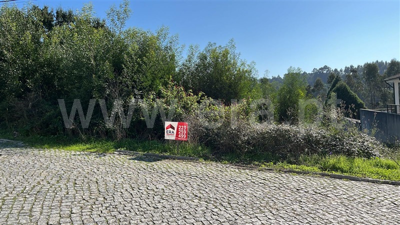Lote  Santa Maria da Feira, Engenho Velho - 1441495 - 3