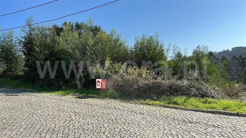 Lote  Santa Maria da Feira, Engenho Velho - 1441495 - 4
