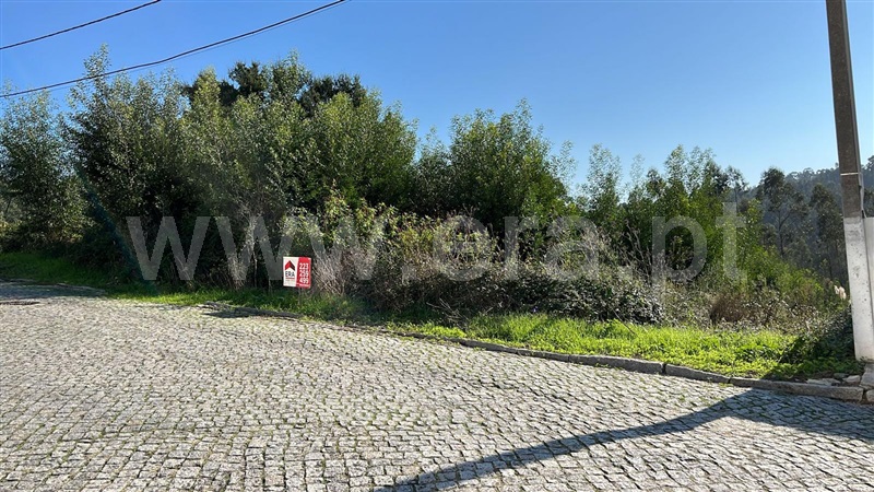 Lote  Santa Maria da Feira, Engenho Velho - 1441495 - 6