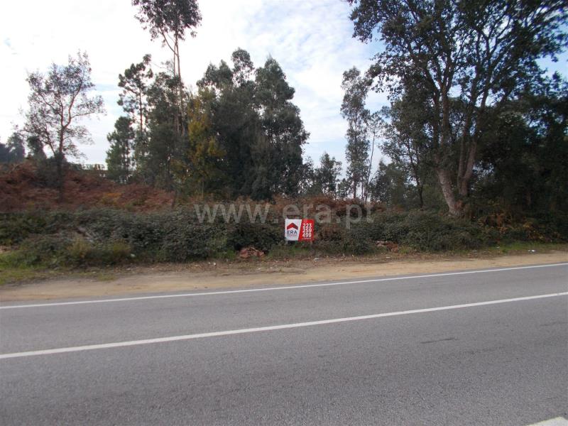 Lote / Santa Maria da Feira, Lobão, Gião, Louredo e Guisande