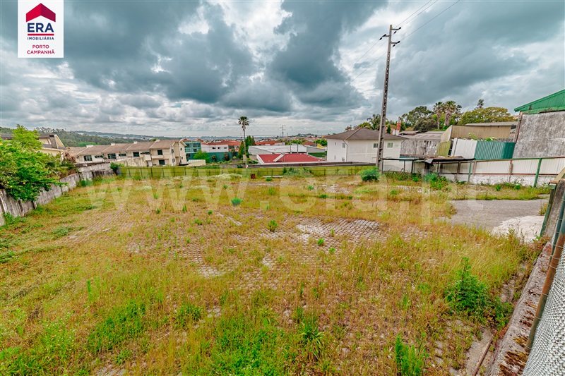 Lote / Santa Maria da Feira, Lourosa